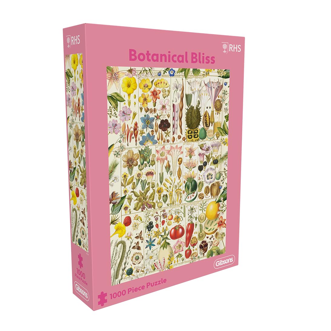 Gibsons RHS Botanical Bliss 1000 Piece Jigsaw Puzzle for Adults – Elegant Botanical Illustration Inspired by Christian Gottlieb Geissler – Contemporary White Logo Collection Premium Puzzle Made in UK