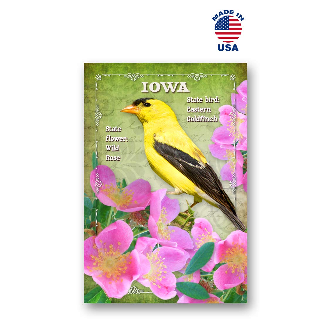 US STATE BIRDS AND FLOWERS Set of 50 postcards. United States bird and flower symbols post cards variety pack. Made in USA. - Image 6