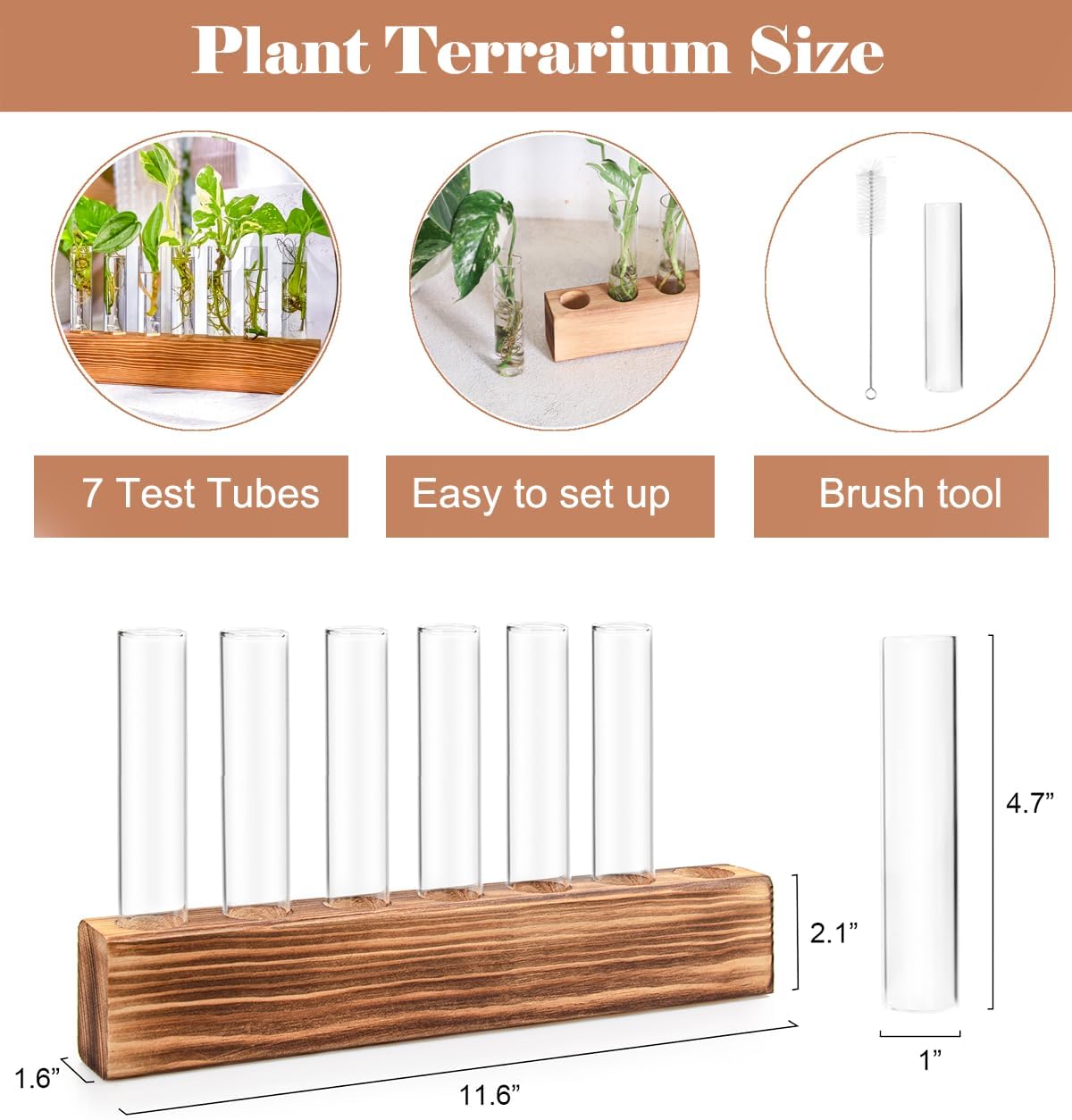 KAXYEW Plant Terrarium with Wooden Stand, Plant Propagation Tubes, 7 Test Tubes Glass Planter for Hydroponic Plant Cuttings Home Office Décor image 5