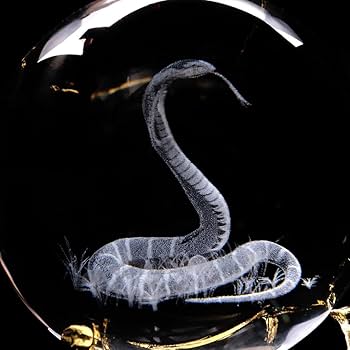 61zalkYtEvL._AC_UF350,