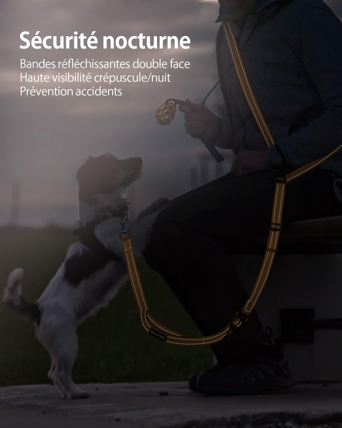 Harnais de Marche Main Libre pour Chien - Laisse Multifonctionnelle Renforcée 2.9m Réglable, Boucle de Sécurité Voiture (Orange)