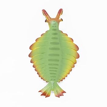 Amazon | アノマロカリス ソフトモデル(FP-009) | フィギュア