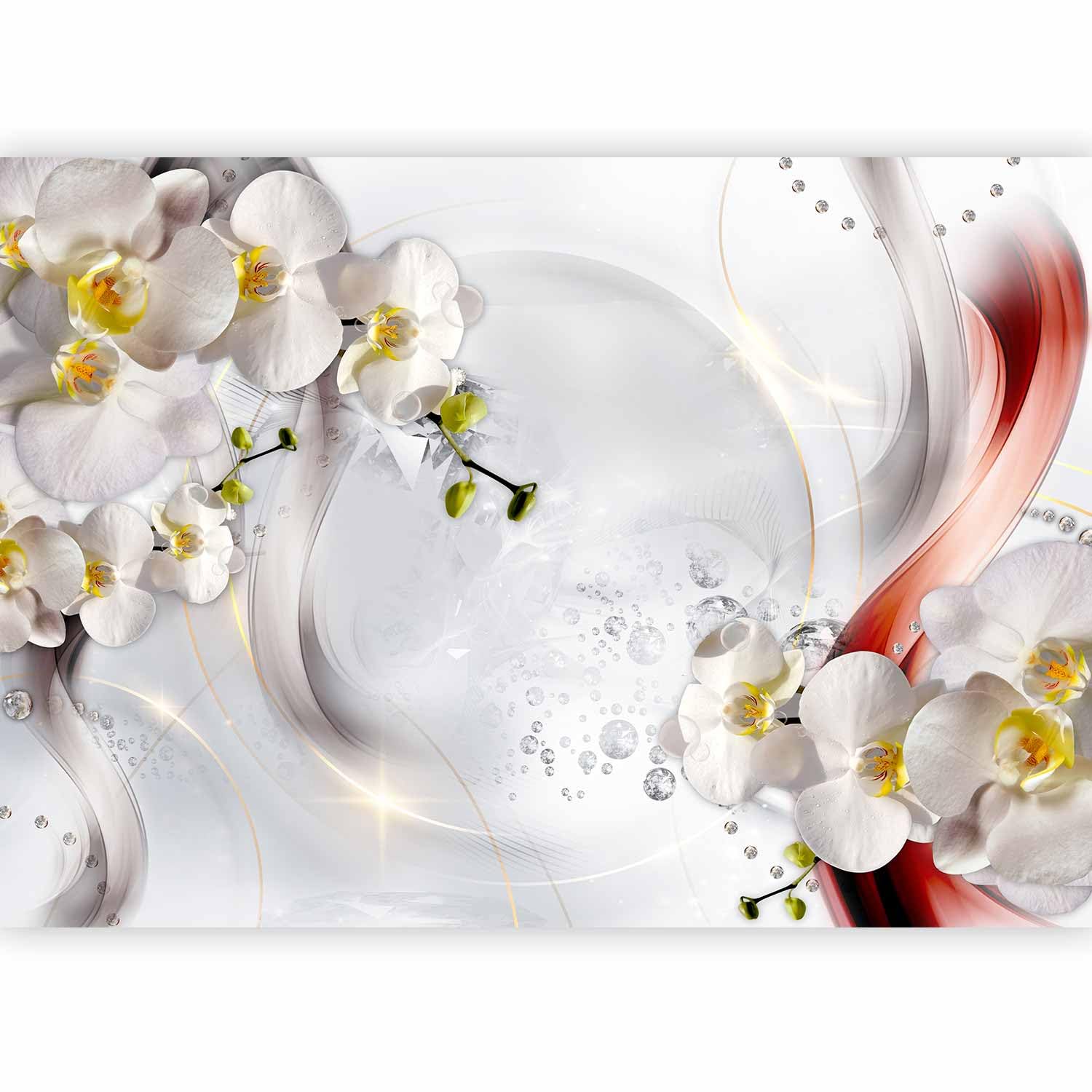 murando Premium Photo Wallpaper Flowers Orchid 450x315 cm / 178"x124" — image 1