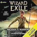 Cover of Wizard in Exile