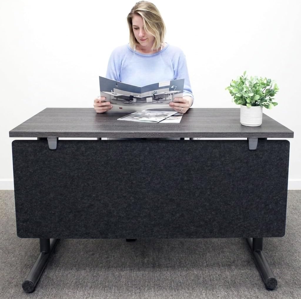 OBEX Modesty Desk PET Privacy Screen Acoustic Sound Absorbing Panel Ideal for Reception, Student Table or Office Cubicles Workstations, 24" x 72", Shadow