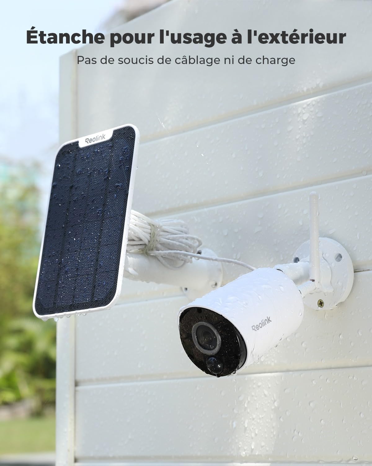 Reolink 3MP Camera Solaire Exterieur sans Fil, Argus Eco (Reconditionné)