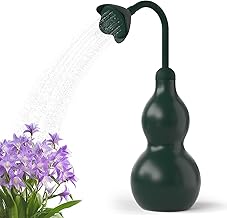 BKSAI Arrosoir Plante Interieur Arrosoir Bonsaï, Arrosoir Jardin en Forme de Gourde 650ML Arrosoirs avec Pommeau pour Plantes Délicates Fleurs Petites Plantes en Pot - Vert Foncé
