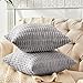FY FIBER HOUSE Pack of 2 Striped Corduroy Throw Pillow Cover Decorative Couch Pillow Covers for Bed Sofa Living Room 20