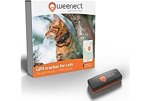 Weenect Cat XS: The Essential GPS Tracker for the Safety of Your Cat