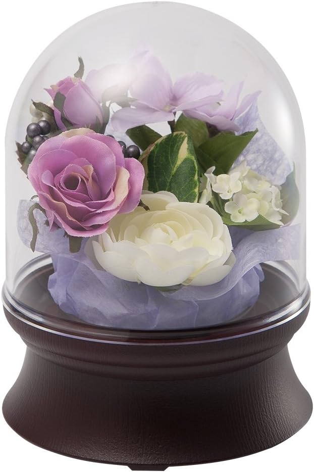 パムテック オーバーライドビーズ天竺菩提樹ビーズ パムテック