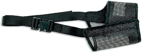 dog and human friendly cake