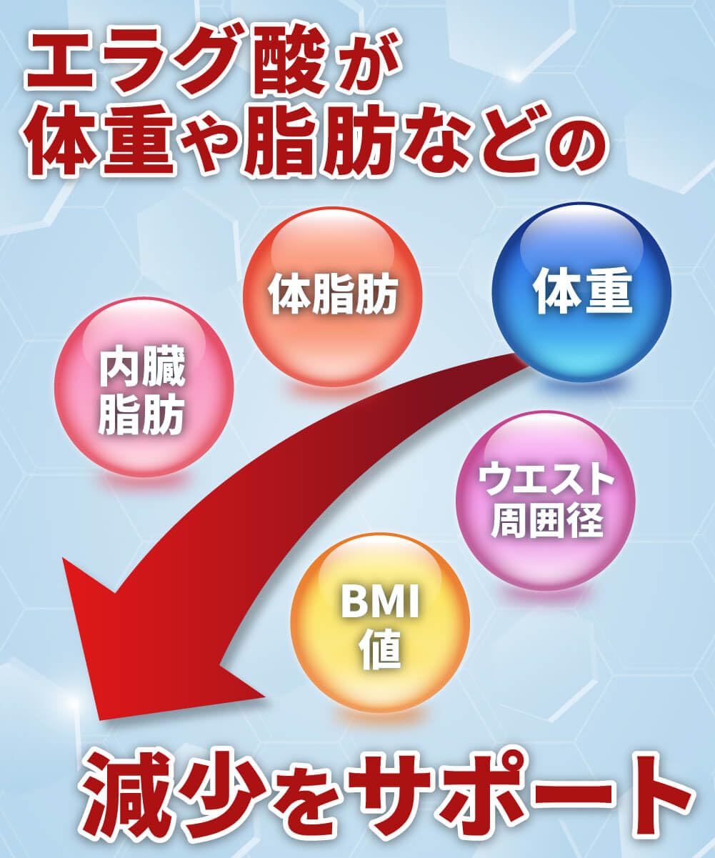 DUEN体脂ガードEX、エラグ酸で体重・体脂肪の減少をサポート