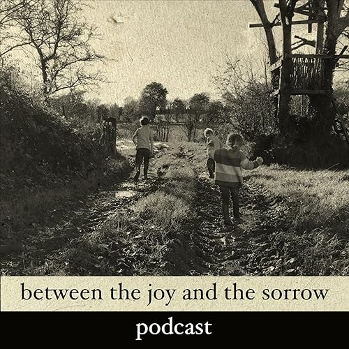 『Between The Joy And The Sorrow Podcast - Episode 20 'Album thoughts with Trevor Michael'』のカバーアート