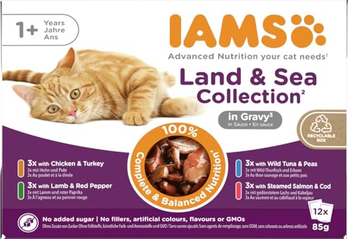 IAMS Delights Land & Sea Collection Katzenfutter Nass - Multipack mit Fleisch und Fisch Sorten in Sauce, Nassfutter für Katzen ab 1 Jahr, 12 x 85 g