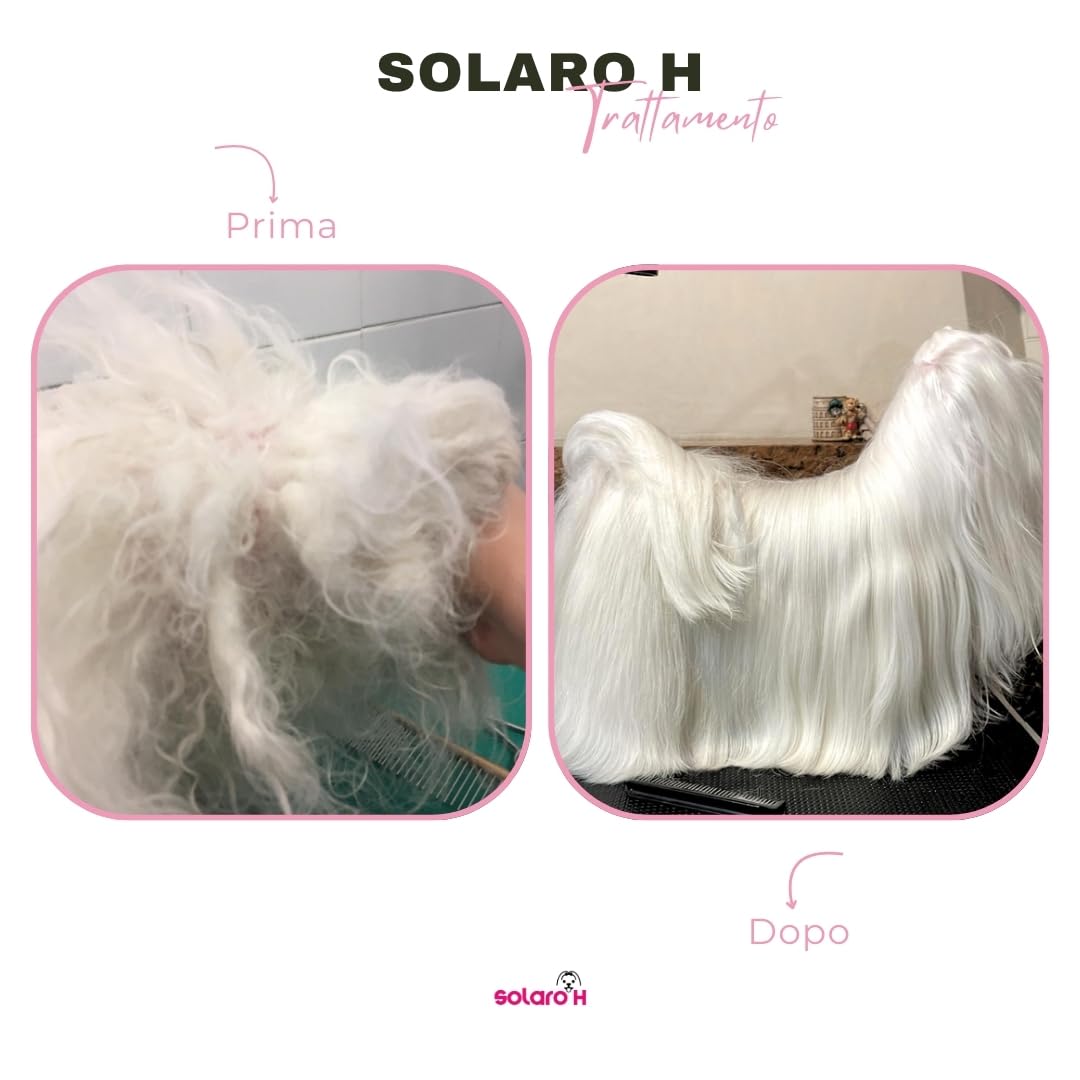 Solaro H | Spray Démêlant pour Chien Super Flash Gold 250ml, Hydrate, Adoucit, Protège Le Poil, Traitement Démêlant, Spray Délier Les Nœuds instantanés - Made in Italy