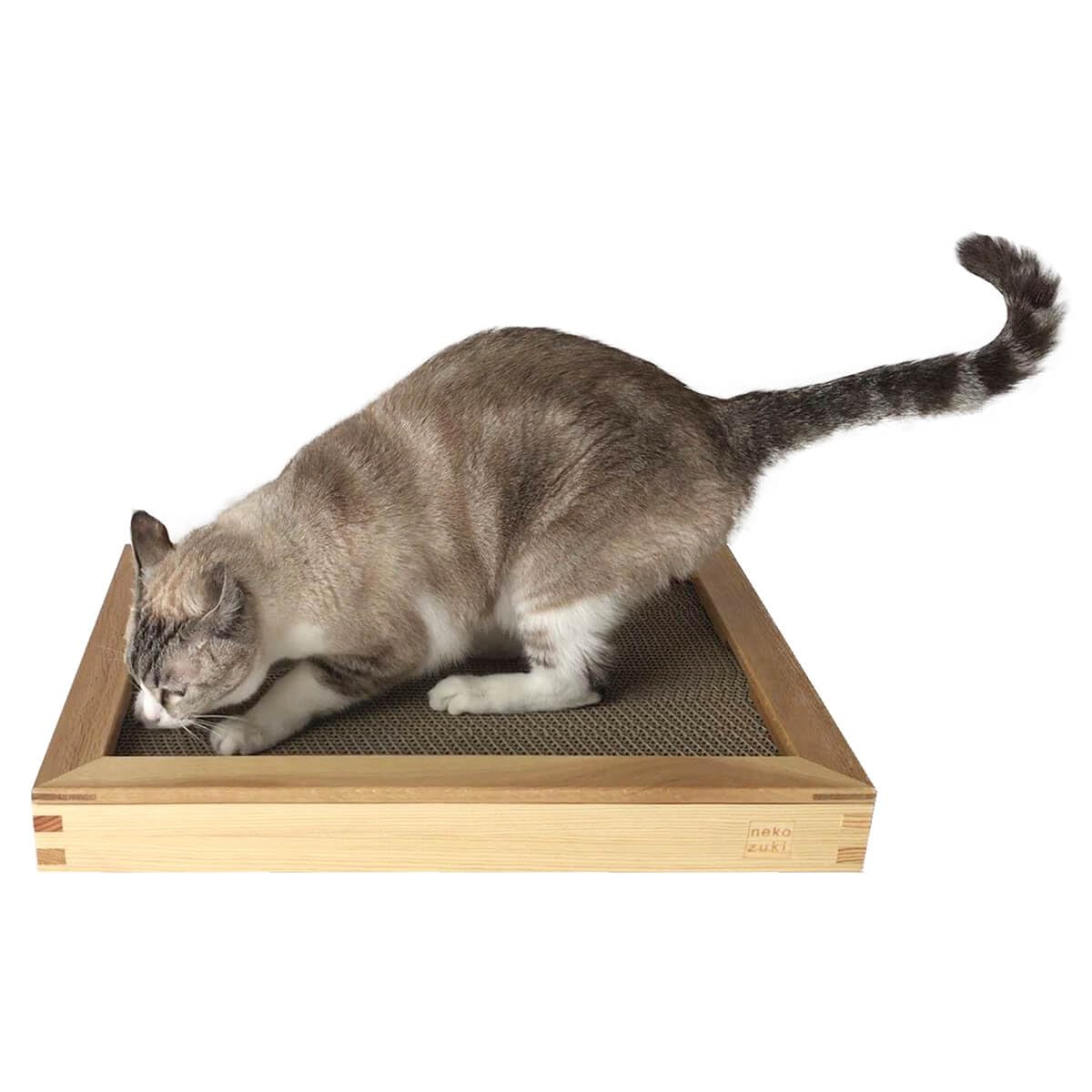 Amazon | nekozuki 猫 爪とぎ 木製 ベッド がりがりボード カス