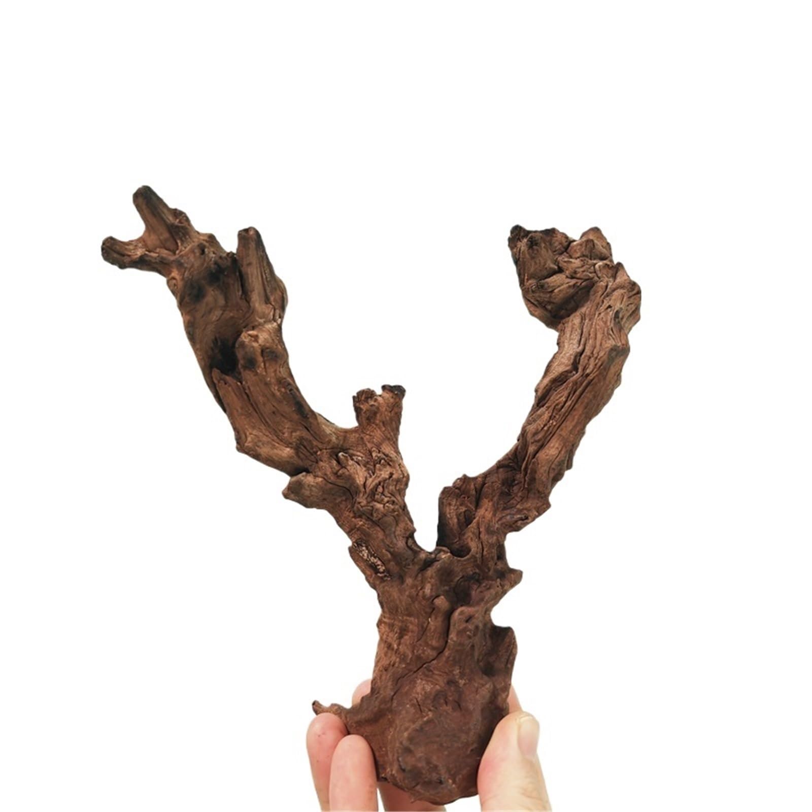 Legno per Acquario Legno Galleggiante for Acquario, Grande, Tronco d'albero, in Legno, Extra Large for la casa(20-25cm-2pcs)