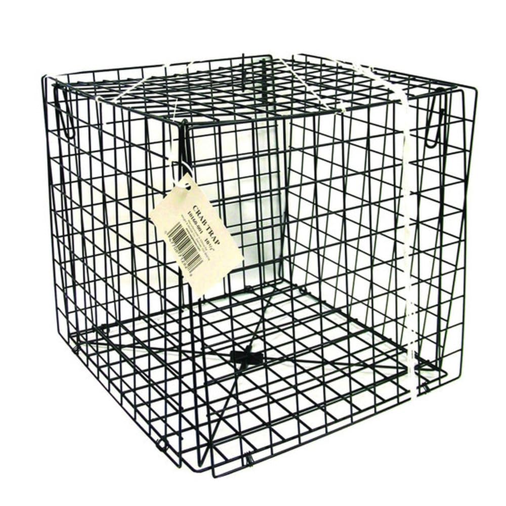 product_img5