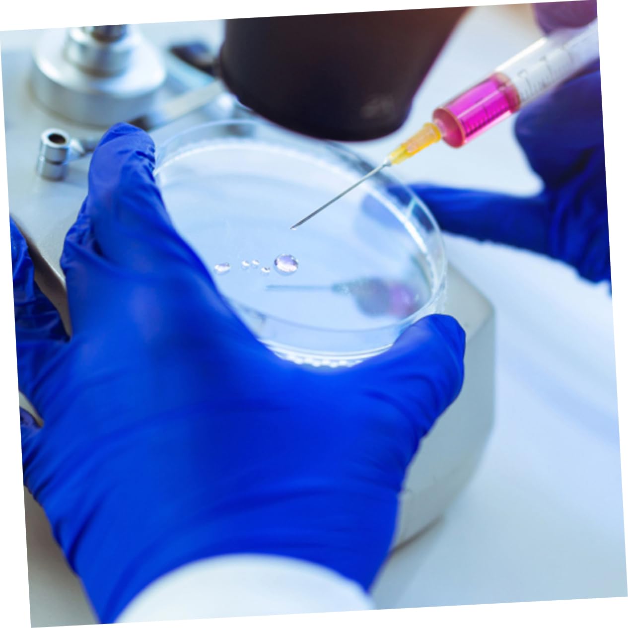 Gatuida 50piezas Placas De Petri De Plástico Transparentes Para Cultivo De Tejidos Experimentos Científicos y Aplicaciones Educativas Altura Uso Multipropósito Laboratorio y Aula