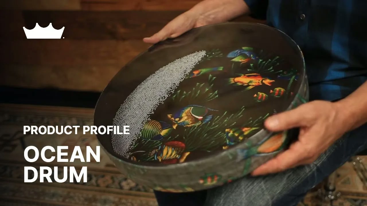 Amazon.com: Remo Ocean Drum - Standard, 22
