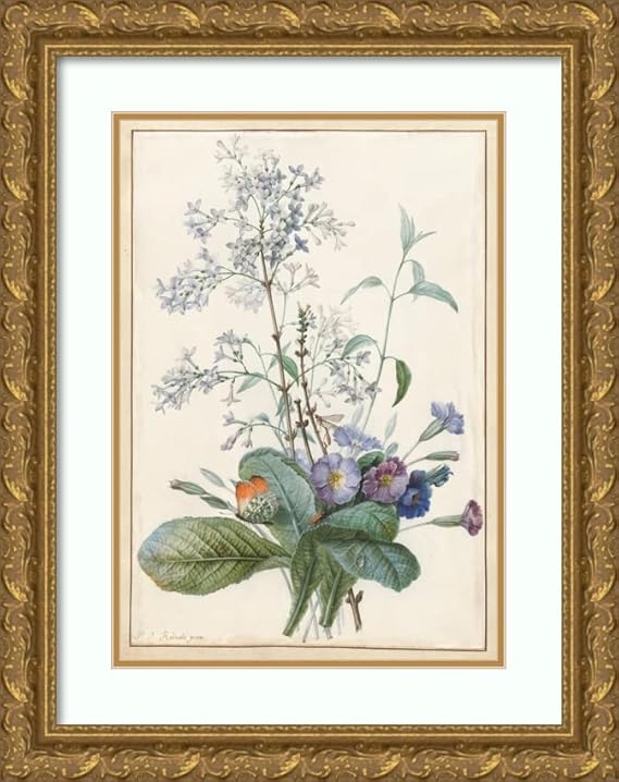 ArtDirect Pierre Joseph Redouté 14x18 Gold Ornate Frame and