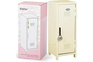 Mini Locker: The Perfect Desktop Storage Solution