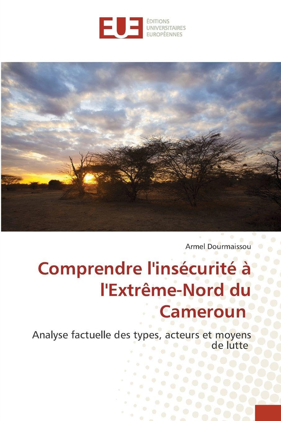 Comprendre l'insécurité à l'Extrême-Nord du Cameroun: Analyse factuelle des types, acteurs et moyens de lutte