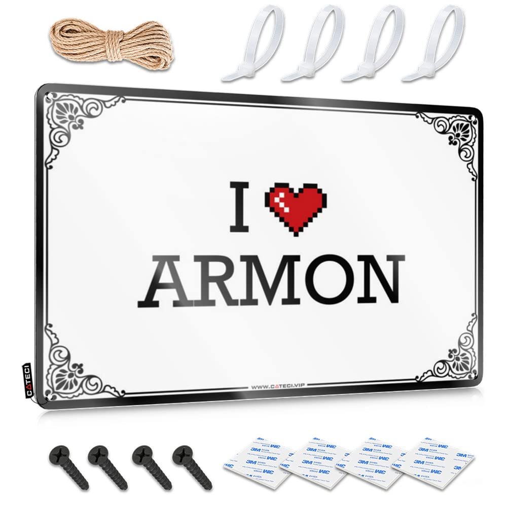 Fzfn Colour Funny Vintage Signs Stunning Core Home Decor - I Love Armon Haves Rustic Style Artwork For Playroom(30X40cm)