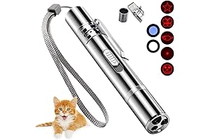 Presentation Laser Pointer - Classroom Presenter with Clicker