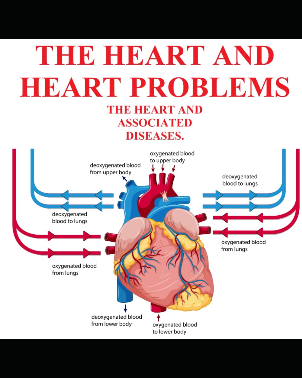 THE HEART AND HEART PROBLEMS: THE HEART AND ASSOCIATED DISEASES (Wildlife of North America and other educational books.)