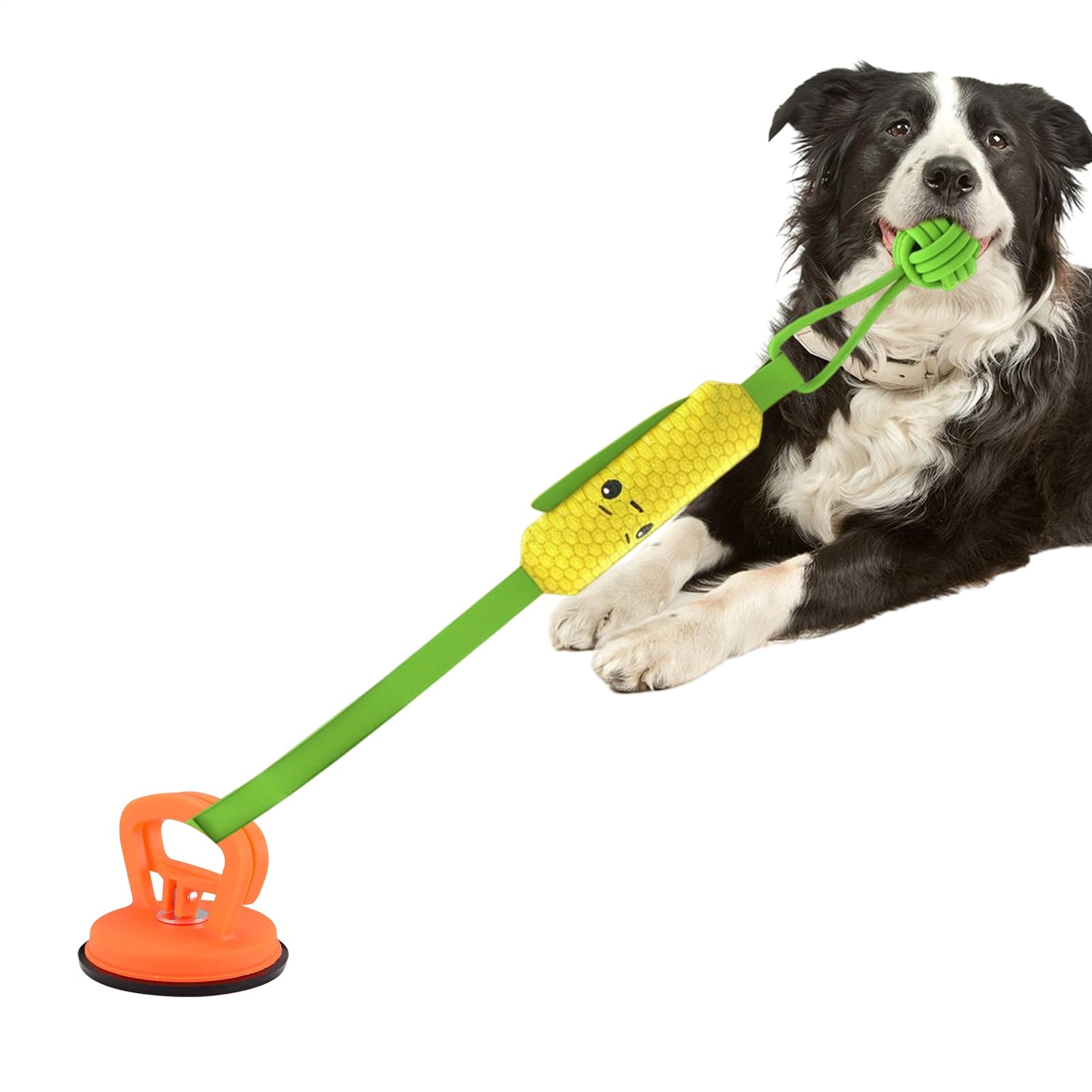 Jouet chien tir à la corde pour occuper longtemps les mâchouilleurs couineurs