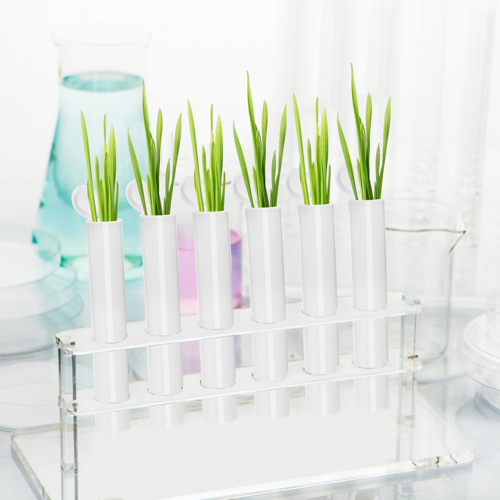 Pop Tube Storage Snapklik.com : Lawei 100 Pack 116mm Pop Top Tubes, Airtight Plastic ...