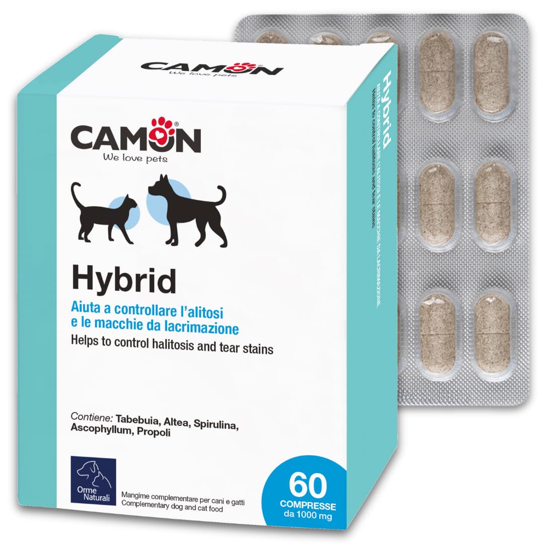 CAMON Compresa de alimentos híbrida G880, 60 compresas