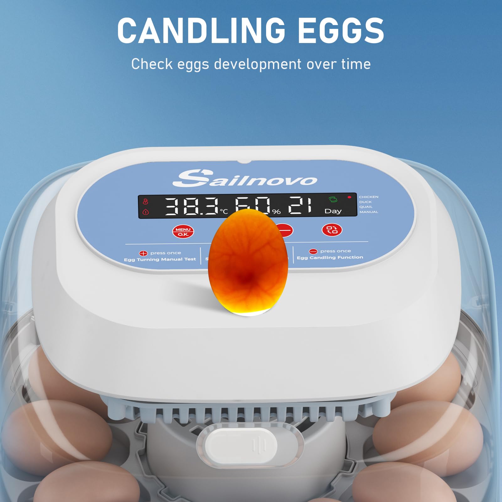 Sailnovo Incubadoras de huevos para incubar, 12 huevos, incubadora para huevos de gallina con 4 modos, visión de 360°, incubadora de huevos con giro automático y control de temperatura, Azul