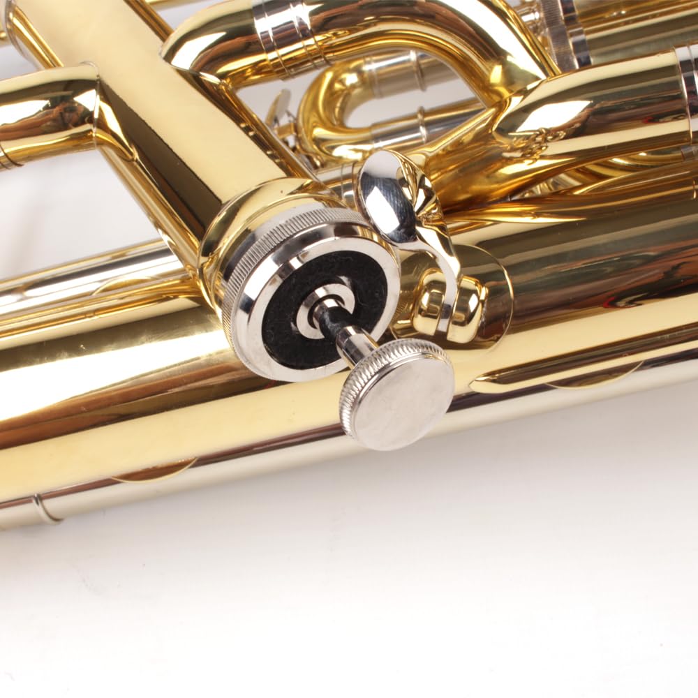 Bb Euphonium 4 - Valvole in ottone dorato, con valigetta