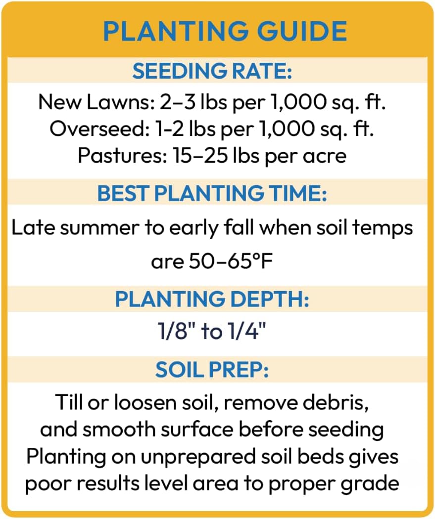 Brownie Brand Kentucky Bluegrass Seed – Premium Lawn Seed for Overseeding, Repairing Bare Spots, and Growing Thick Cool-Season Bluegrass Grass Turf