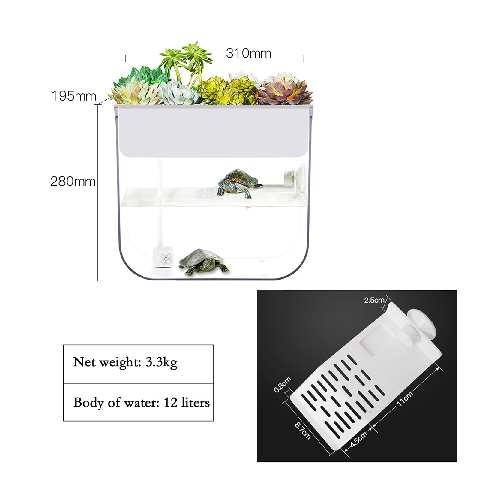 Acquario per Tartarughe Serbatoi di tartaces con terrazze, serbatoi speciali for allevare tartarughe, serbatoi di pesce for alzare le tartarughe, tartarughe vive, carri armati di acqua e terra Tartaru