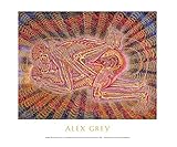 Alex Grey Copulating - Mini Poster