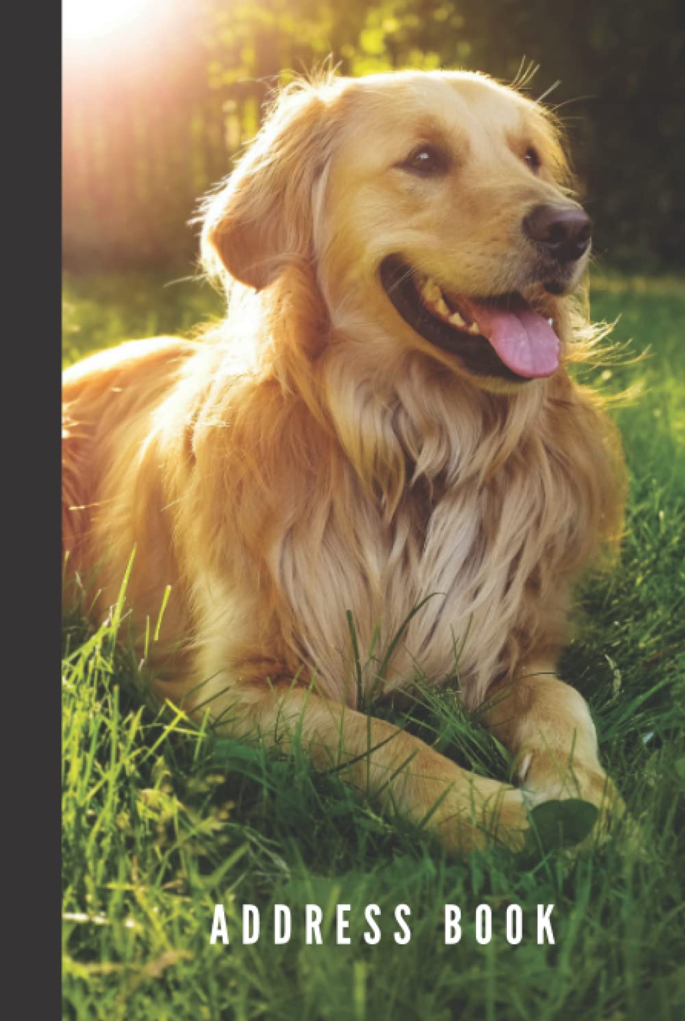 Address Book: Hardcover Hardback / Golden Retriever in Green Grass - Dog Lover Photo / Track Names - Telephone Numbers - Emails in Small 6x9 Notebook ... Kids - Teen - Adult -Senior Citizen Gift