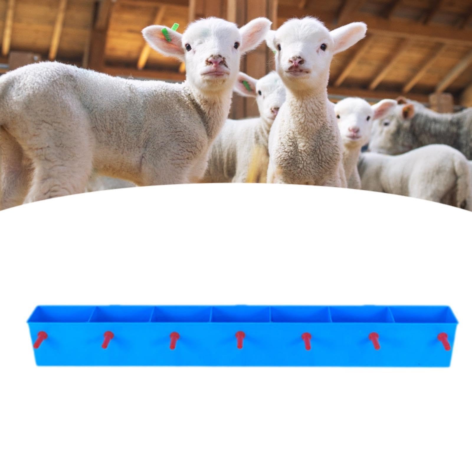 Feeder para Granja Alimentación de Terneros Recipiente para Leche Alimentación por Pezón Fabricado Silicona Adecuado para Cría de a, 7 Cabeza