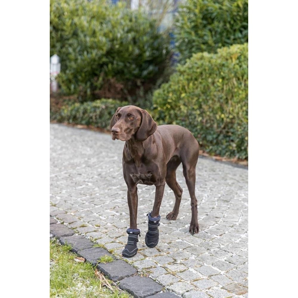 Andador de protección de Patas Activo Largo, S–M, Negro