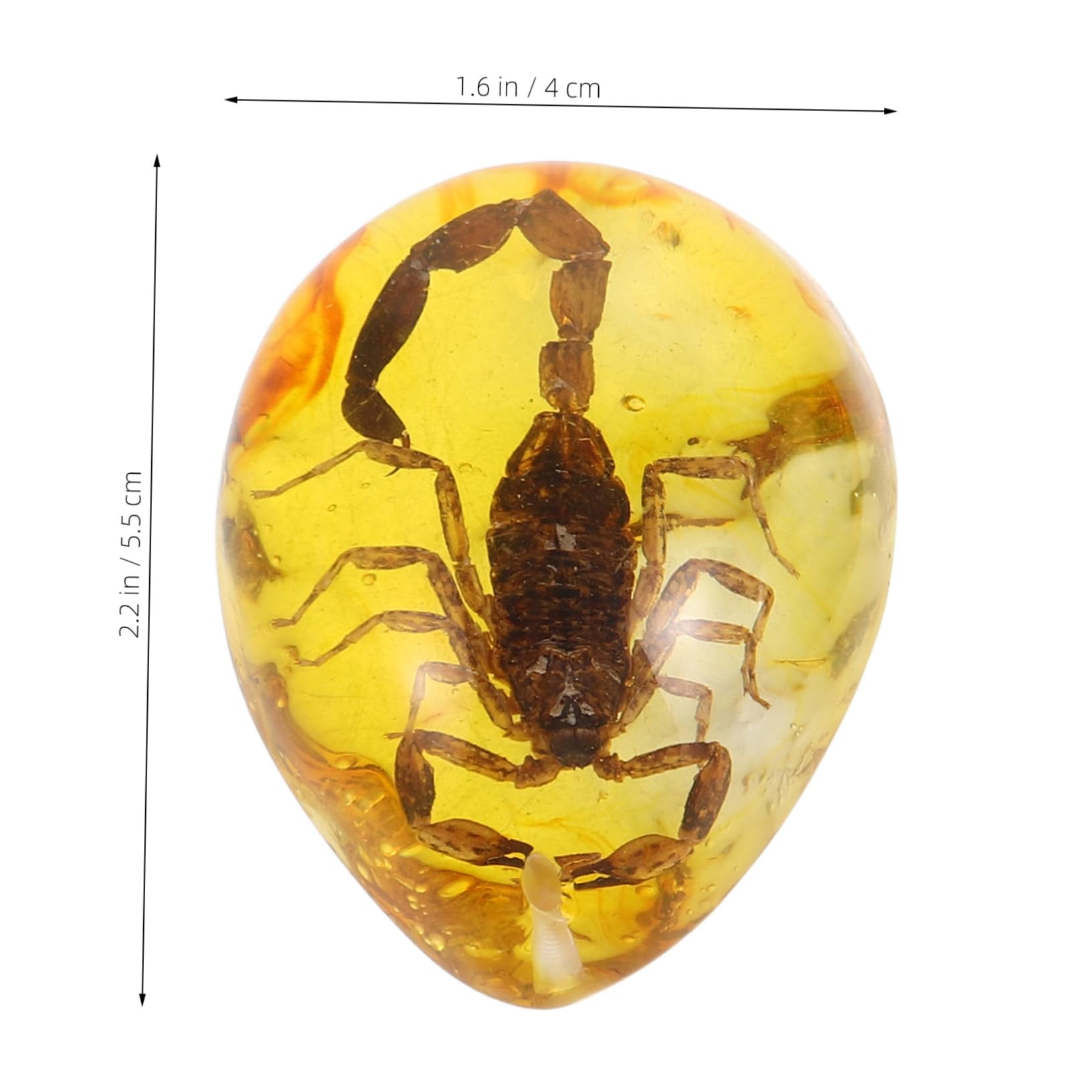 Kisangel 3Pcs Insect Resin Amber Specimen Pendant for Collection Butterfly Scorpion and Wasp Lightweight and Portable Amber for Creative Decoration and Science