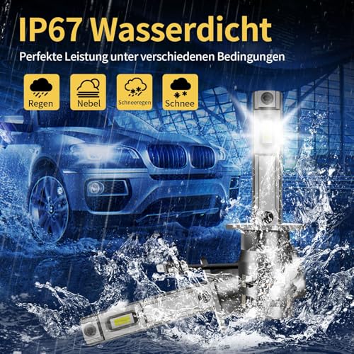 MOTORHOOK H1 Halogen Headlight Bulbs - image 7
