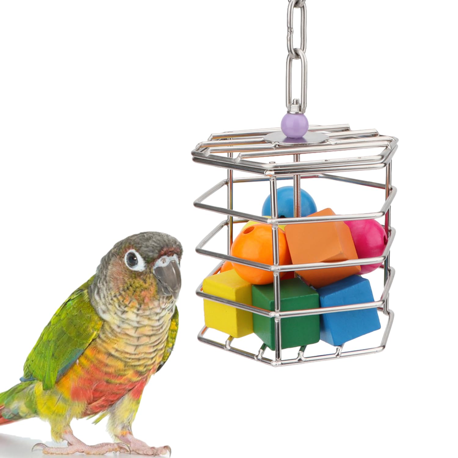Hypeety Bird Foraging Toys Stainless Steel Foraging Basket Millet Holder for Bird Cage Unique Hanging Feeder for Macaws Cockatoos African Grey Cockatiel Conures Amazon Parrot(Feeder+Blocks)