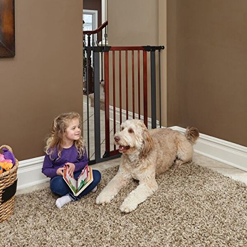 Steel Pet Gate w/ Textured Graphite Frame & Decorative Wood Door, 29" -38 W Inches - Image 5