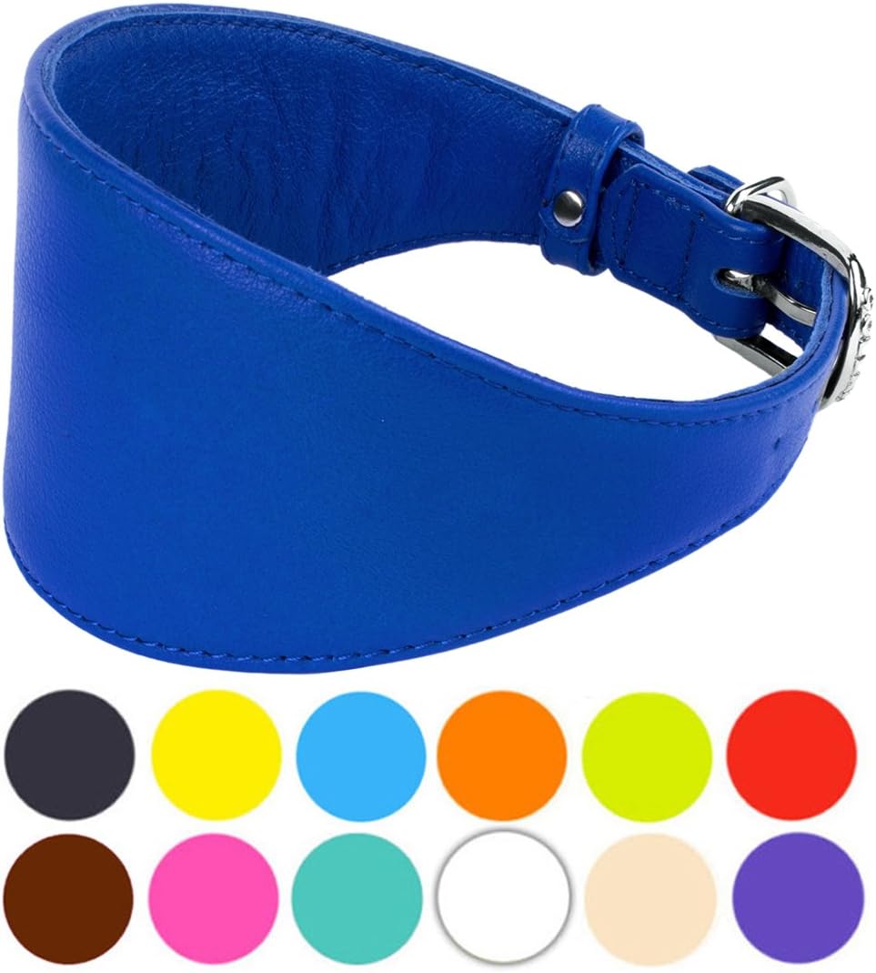 CollarDirect Whippet Dog Collar, Leather Greyhound Collars, Leather Dog Collar