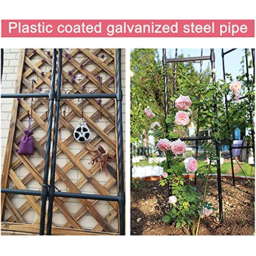 Support en treillis pour vignes et plantes grimpantes de jardin - 6
