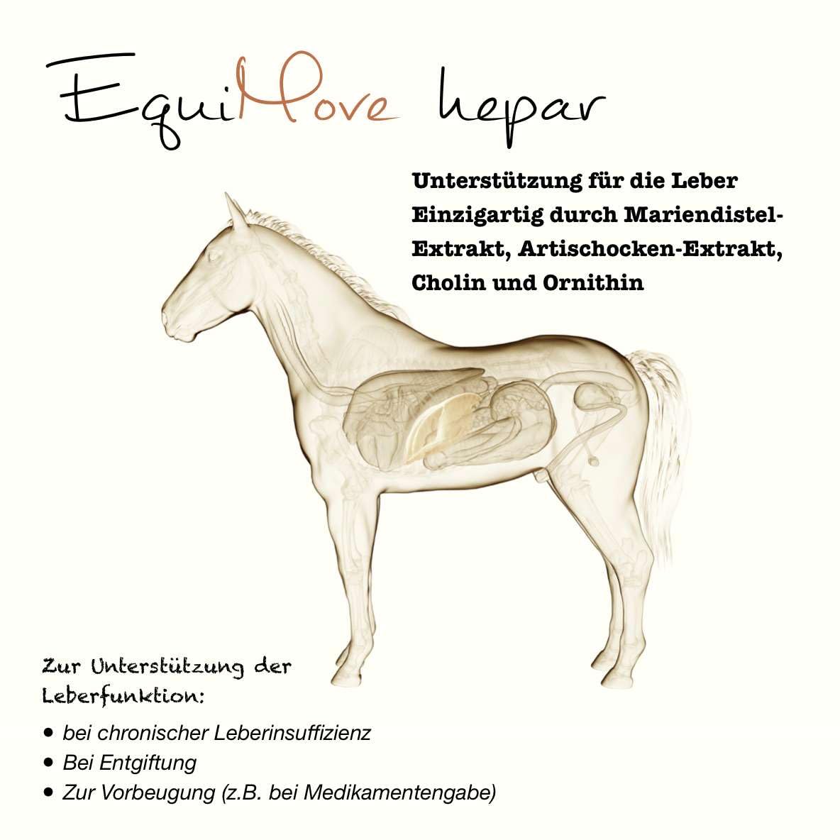 Dreierpack | Hepar (3 x 1,5 kg) - Zur Unterstützung der Leber und für die Entgiftung | Mit Mariendistel (Silymarin), Artischocke (Cynarin), LOLA (L-Ornithin-L-Aspartat), Löwenzahn und Cholin