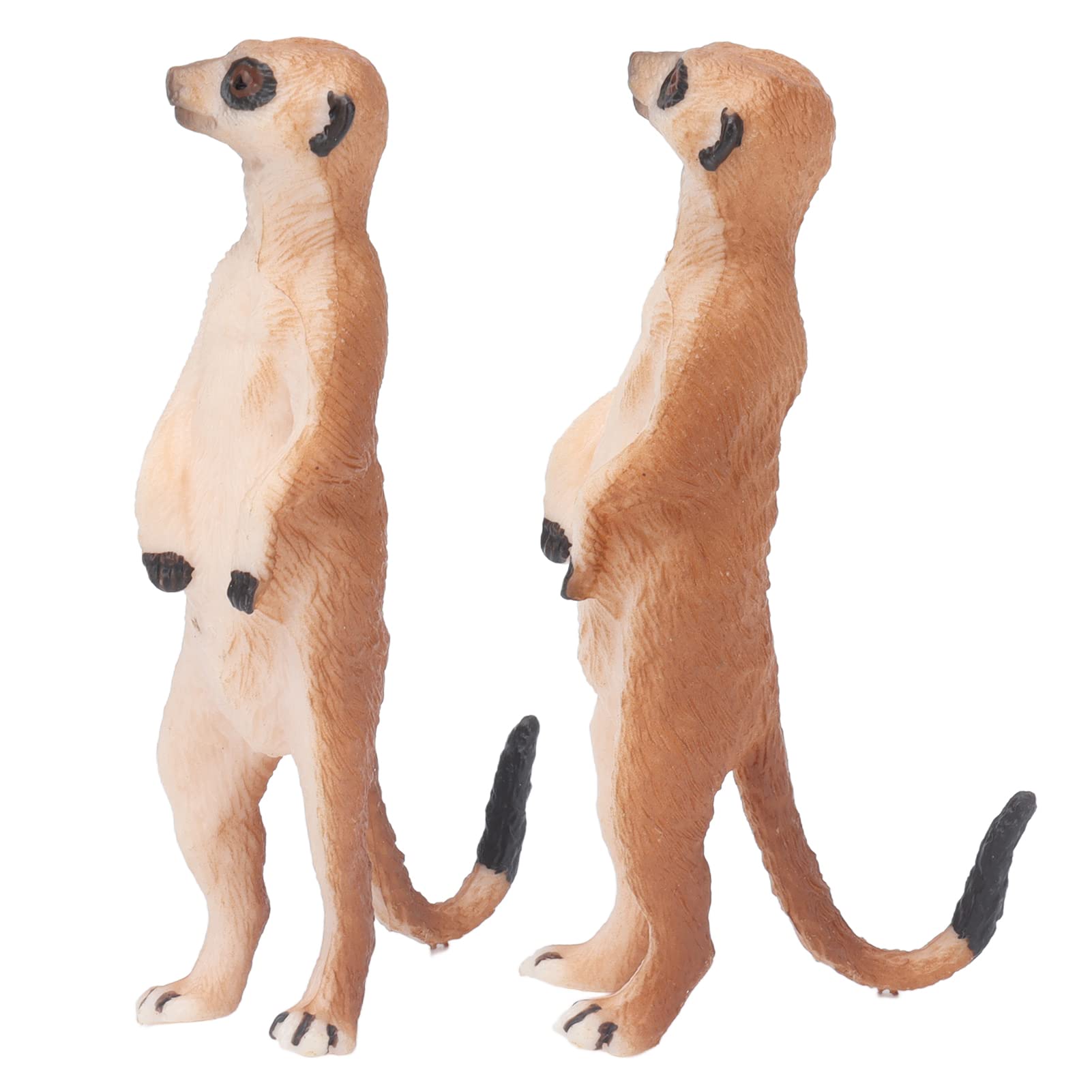 2 Pieces Small Meerkat Toy, Meerkat Model Animal Cognitive Toy, Lifelike  Unique Texture for Decorations : Amazon.de: Toys