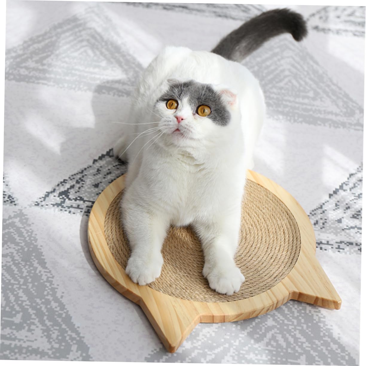 Katzenkratzbrett Aus Sisal Vertikales Kratzspielzeug Katzenkratzmatte Größe L Für Katzenzubehör